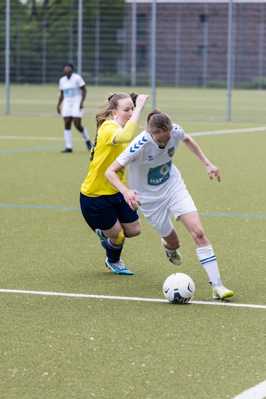 Bild 269 - F SV Eidelstedt - SC Alstertal-Langenhorn : Ergebnis: 2:7